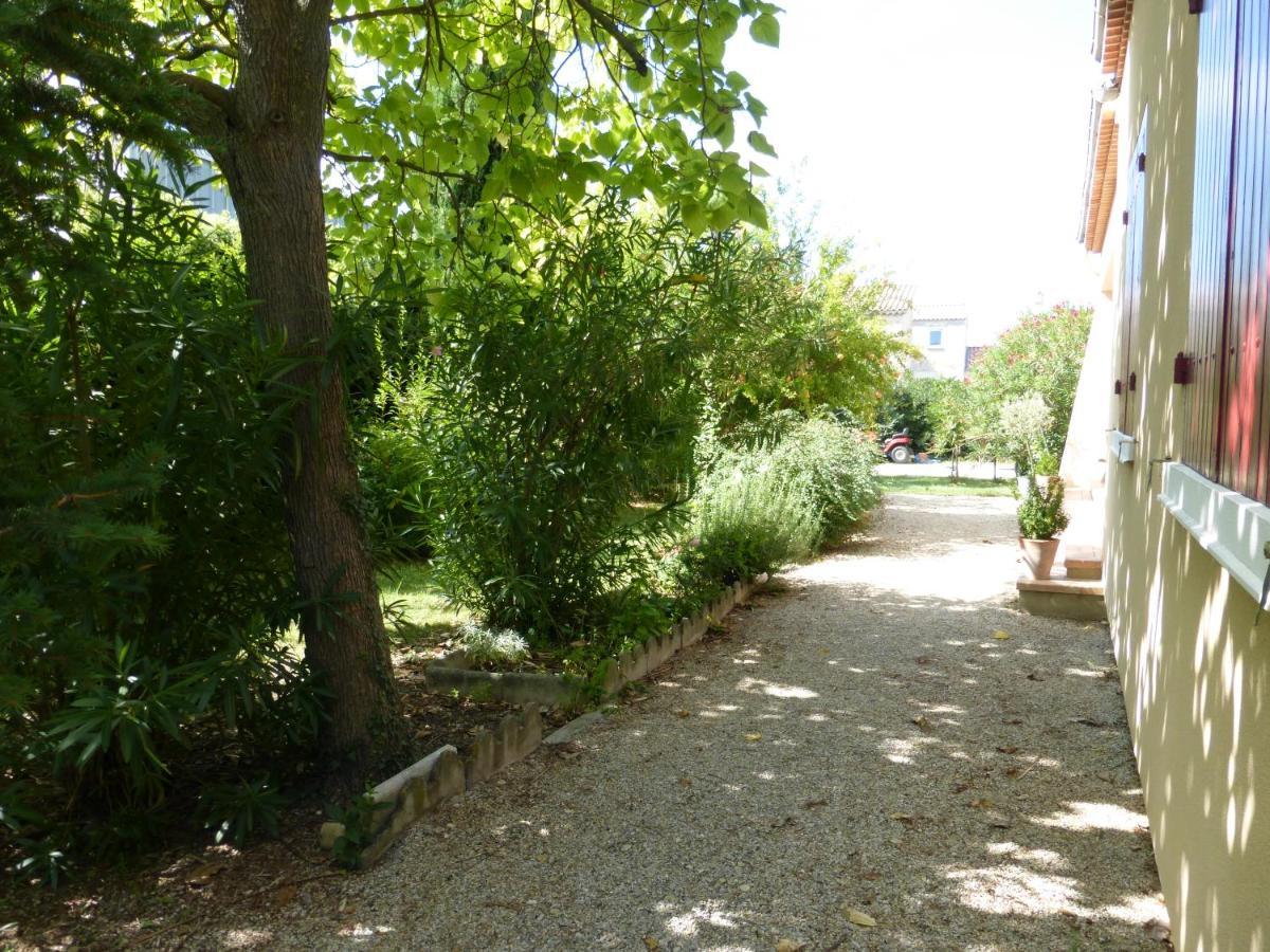 Villa " Les Bambous " , Jardin , Terrasse , Climatisation , Wifi , Parking Αβινιόν Εξωτερικό φωτογραφία